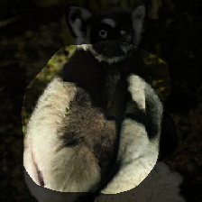 layer0-1429