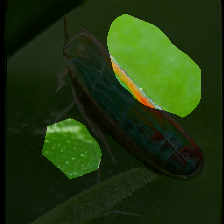 layer0-1277