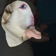 layer0-116
