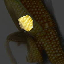 layer0-1063
