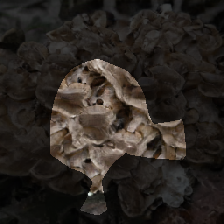 layer0-1063