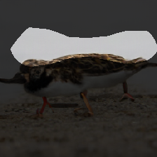layer0-298