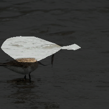 layer0-298