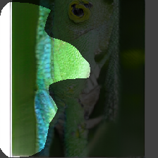 layer0-1279