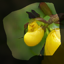 layer0-1064