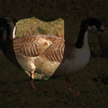 layer0-1280