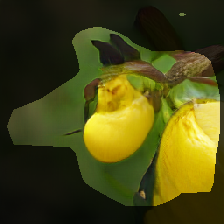 layer0-485