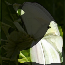 layer0-680