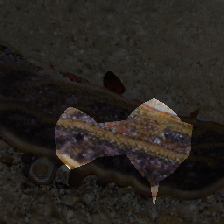 layer0-1284