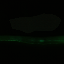 layer0-1286