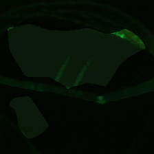 layer0-1286