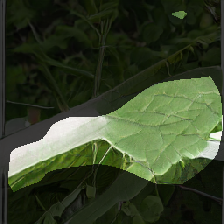 layer0-1069
