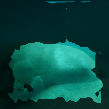 layer2-124