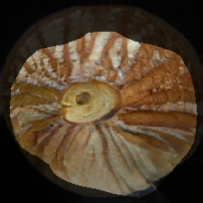 layer0-127