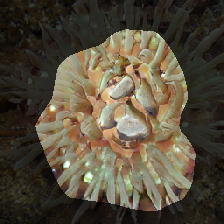 layer0-127