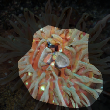 layer0-127