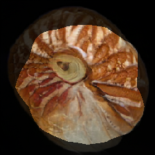 layer0-127