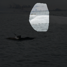 layer0-491