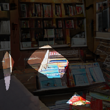 layer0-491