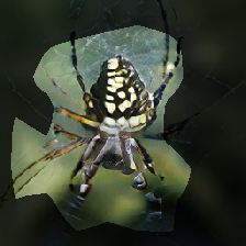 layer0-492