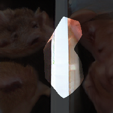 layer0-130