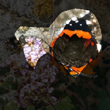 layer0-313