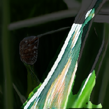 layer2-99
