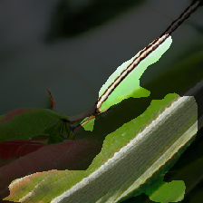 layer2-99