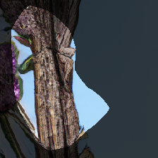 layer0-689