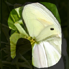 layer0-689