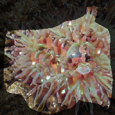 layer0-493
