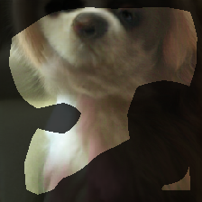 layer0-493
