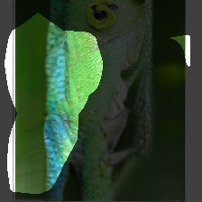 layer0-493