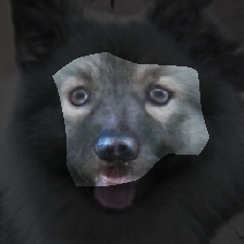 layer0-134