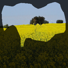layer0-494
