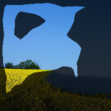 layer0-494