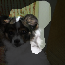 layer0-136