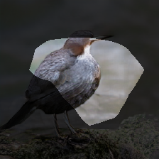 layer0-1080