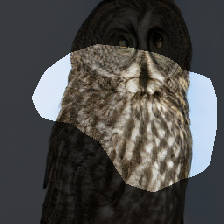 layer0-1080