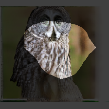 layer0-1080