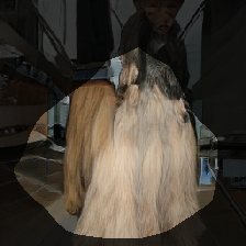 layer0-317