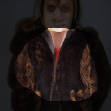 layer0-1299