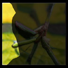 layer0-1300