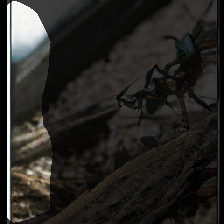 layer0-1300