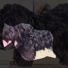 layer0-1082