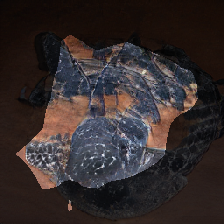 layer0-139