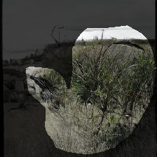 layer0-319