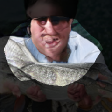 layer0-695