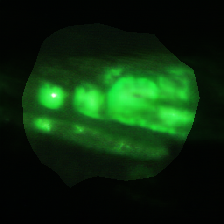 layer0-695
