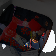 layer0-499